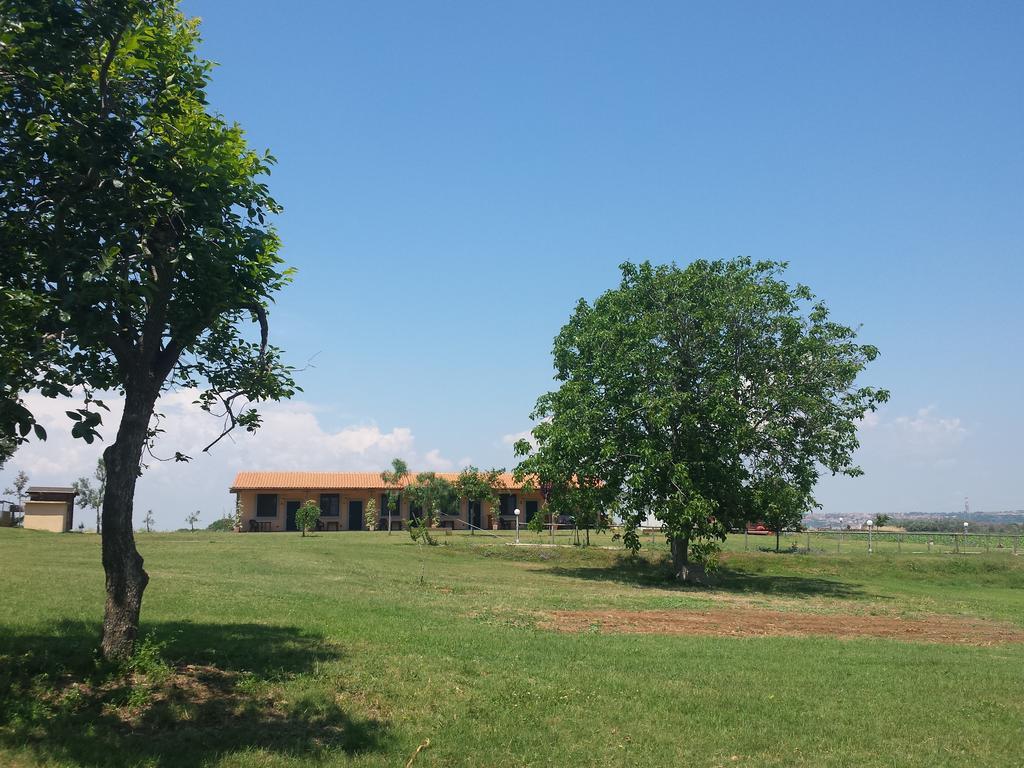 Agriturismo San Matteo Tarquinia Habitación foto