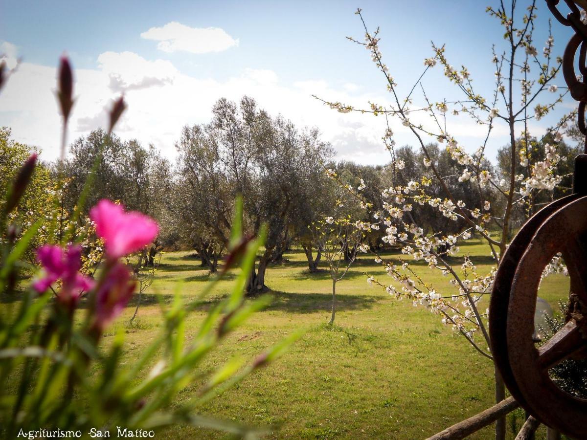 Agriturismo San Matteo Tarquinia Exterior foto